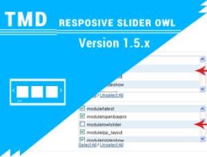Responsive Slider OWL 1.5.x
