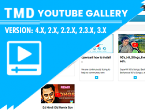 Youtube Gallery Module  (2.x , 3.x & 4.x)