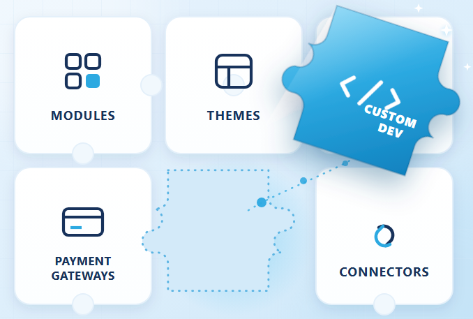Custom Development